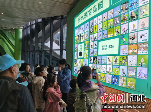 河北发布《研学旅游产品质量规范》地方标准，引领行业高质量发展